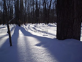 雪,冬天,腳印