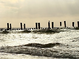 海灘,波羅的海,海