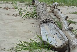 河,海灘,水