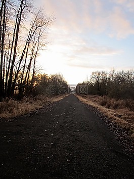 路,國(guó)家,農(nóng)村