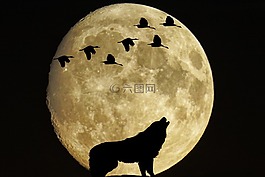 神秘,月球,滿月