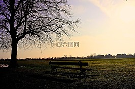 天空,藍色,云