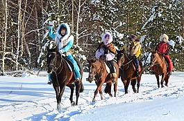 瘋狂,雪,俄羅斯