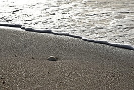 沙,石,波