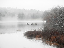 霧,薄霧,水