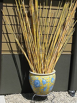 日本花園,景觀,竹