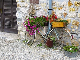 那輛舊自行車,花架,舒適的