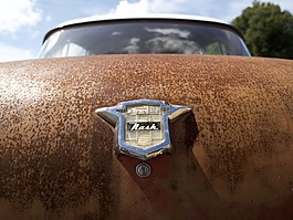 戶外,車,車輛