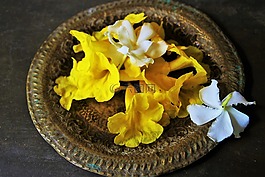 飾品,板,佛教