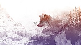 狼,冬天,性質(zhì)