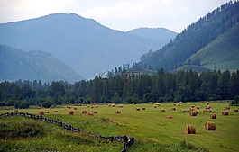阿爾泰山,景觀,山