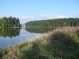 湖泊,海景,树脂