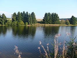 湖泊,樹脂,海景