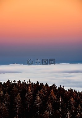 加利福尼亞州,日出,景觀