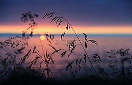冰島,海,日落
