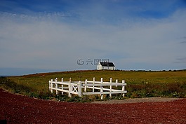 冰島,運(yùn)動(dòng),農(nóng)場(chǎng)