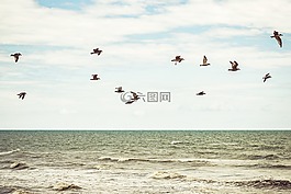 自然,景觀,水