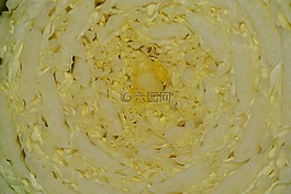 大白菜,科尔,食品