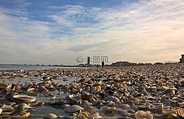 海灘,海,海濱