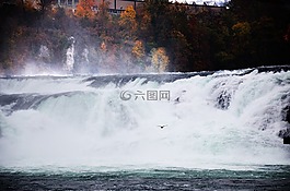 水,流,樹