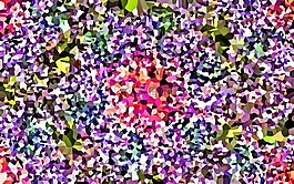 抽象,花,植物區(qū)系