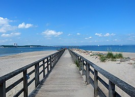 網(wǎng)站,橋,海灘