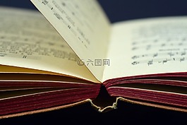 本書,文學,紙