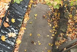 屋頂,街,路