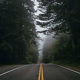 自然,道路,路徑
