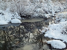 冬天,雪,暴風雪
