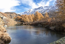 景觀,冬天,寒冬