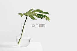仍,項(xiàng)目,事情