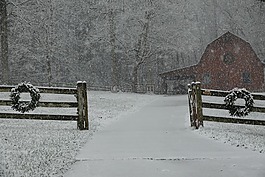 冬天,雪,谷倉(cāng)