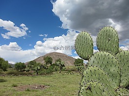 特奥蒂瓦坎,金字塔,墨西哥
