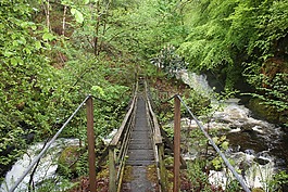 橋,大瀑布,景觀