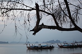 船,主題,樹(shù)