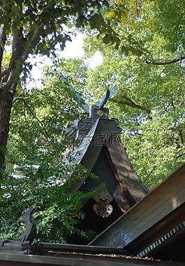 建筑,宗教,神道
