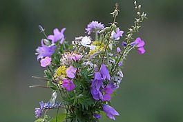 花束,鮮花,性質(zhì)