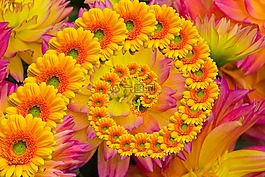 花卉,鮮花,創(chuàng)作