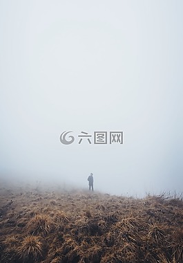 山,高原,草