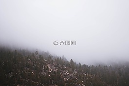 自然,山,邊坡