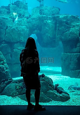 魚(yú),珊瑚,海星