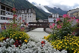 夏蒙尼,鮮花,法國