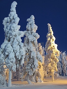 芬蘭,冬天,雪