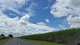 路,國(guó)家,澳大利亞