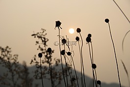 自然,日落,中國