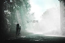 家伙,男子,男