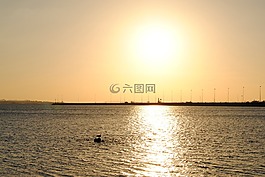 日落,的,太陽