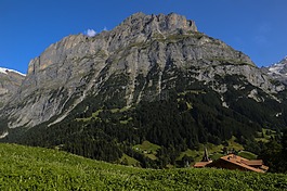 eiger 北臉,公路,瑞士阿爾卑斯山