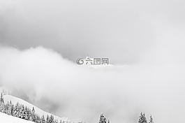冬天,雪,霧